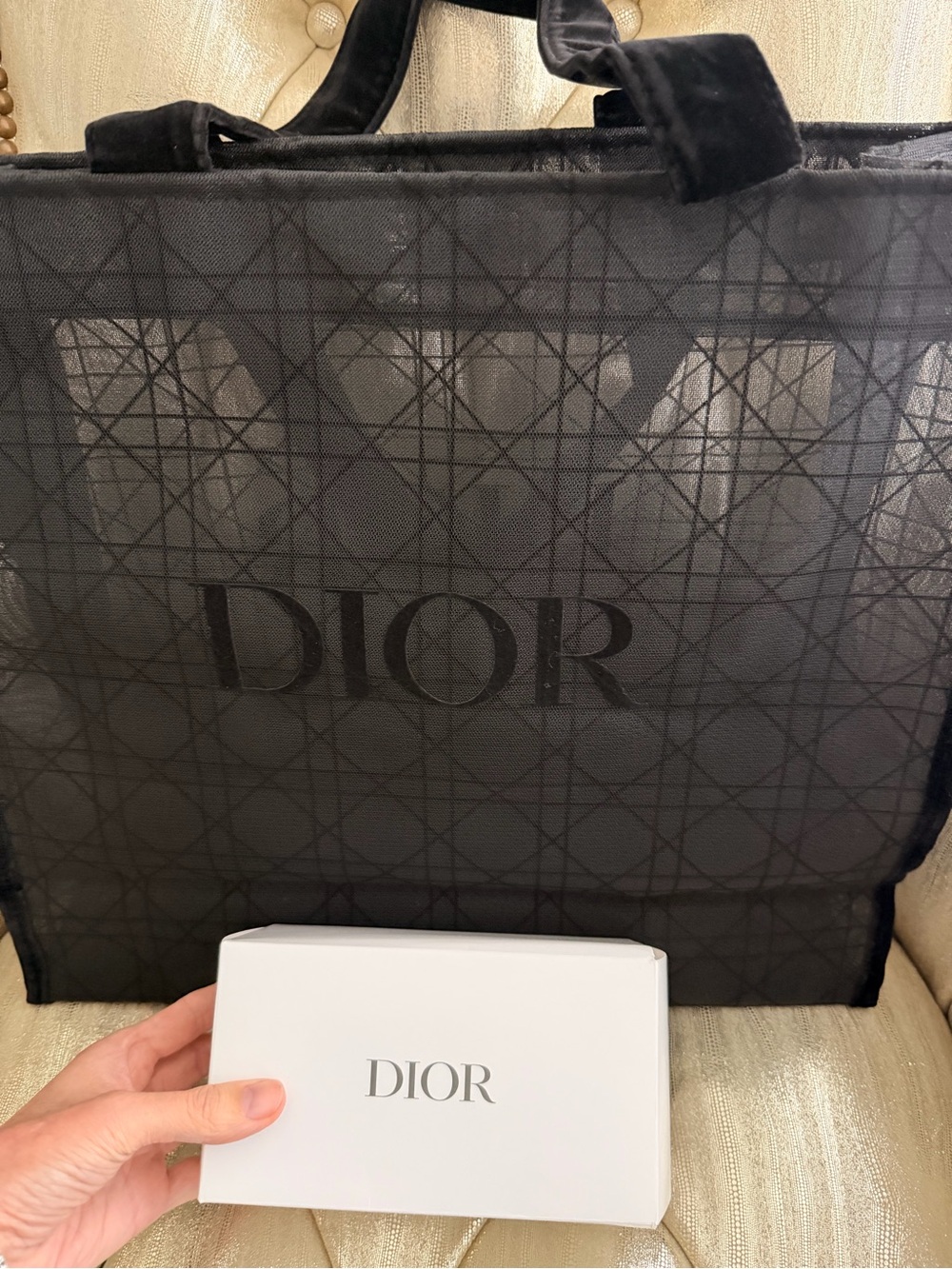 DIOR Black Tote Bag - Luxurious Logo Canvas